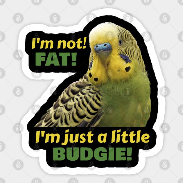 Fat Budgie Parakeet Parrot Sticker by Einstein Parrot